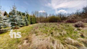 Wiese 2 - hitner dem Garten