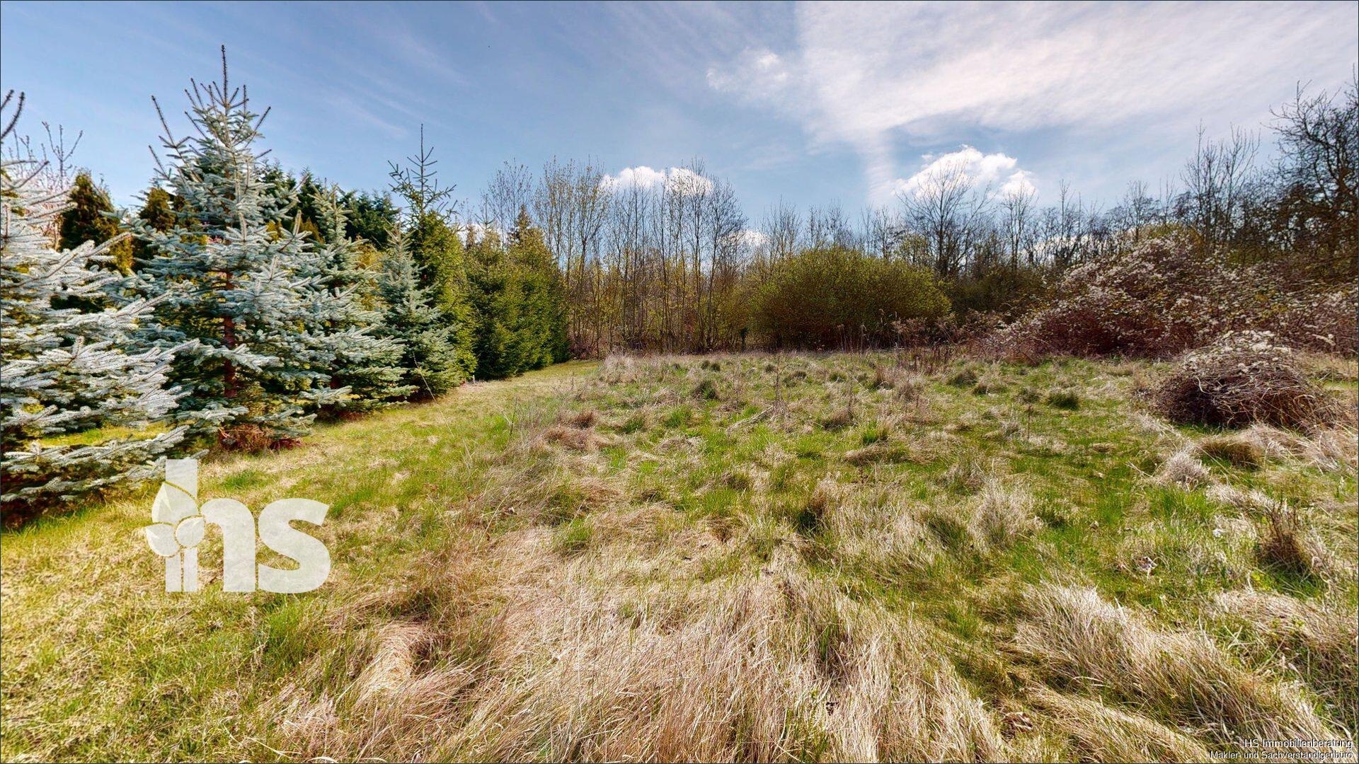 Wiese 2 - hitner dem Garten