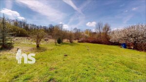 Wiese 2 - hitner dem Garten